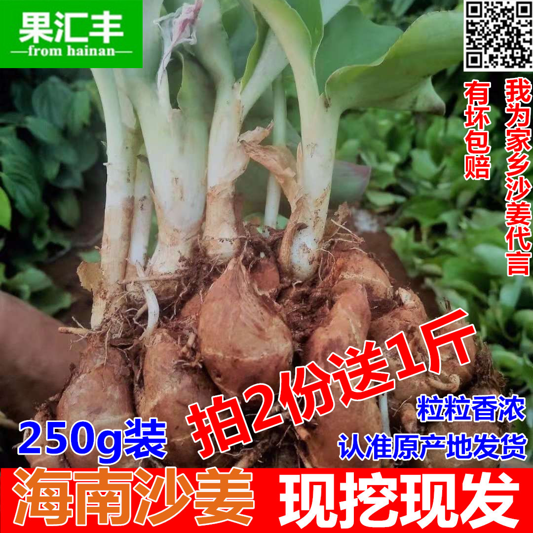 拍2份送1斤 正宗海南特产新鲜沙姜/山奈 白切鸡椰子鸡猪脚配料在类目 水产肉类/新鲜蔬果/熟食, 新鲜蔬菜/蔬菜制品, 生姜中 - 来自Buy2taobao.com提供专业的淘宝代购服务