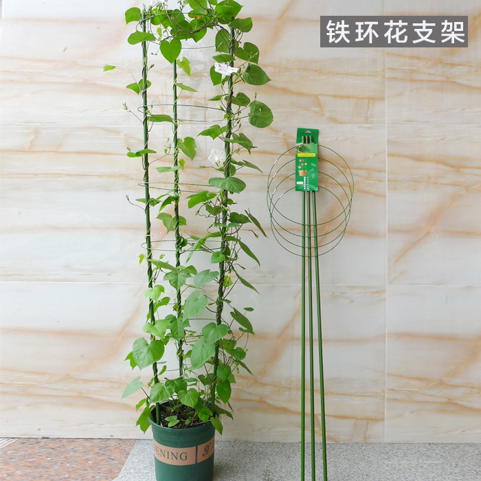 Old flower Potted plant fixed Hoop Flower trellis Vine Climbing roses gardening Stand bag Ironshaper Flower Pillarin the Flower delivery/Flowers simulation/Plants gardening , Gardening supplies , Other Garden Supplies category - from Buy2taobao.com to provide professional Taobao agent buy service