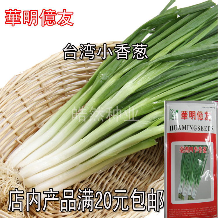 华明亿友台湾 四季香葱种子 抗逆性强 四季常青在类目 鲜花速递/花卉仿真/绿植园艺, 园艺用品, 智能园艺用品中 - 来自Buy2taobao.com提供专业的淘宝代购服务