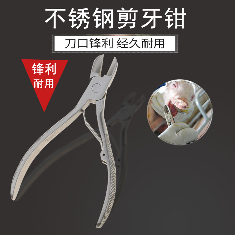 Piglets Cut teeth clamp Pig rabbit Hamsters Stainless steel Dental pliers Pig equipmentin the Livestock/Aquaculture supplies , Livestock/Farming equipment , Fertilizer/Feed/Slaughter and processing equipment category - from Buy2taobao.com to provide professional Taobao agent buy service