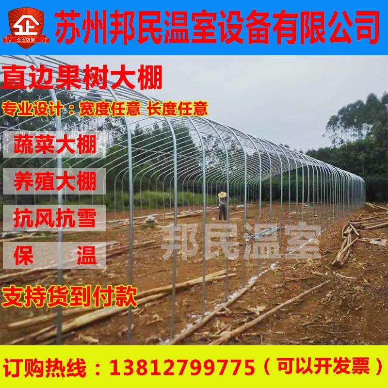 蔬菜种植养猪温室大棚连体大棚养鸡钢管配件花卉养殖骨架阳台大棚在类目 鲜花速递/花卉仿真/绿植园艺, 园艺用品, 其它园艺用品中 - 来自Buy2taobao.com提供专业的淘宝代购服务