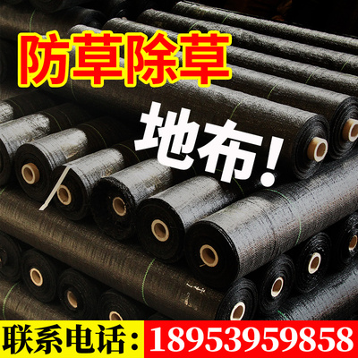 特价防草布除草布果树农用大棚果园黑色防草地布加厚地膜园艺地布