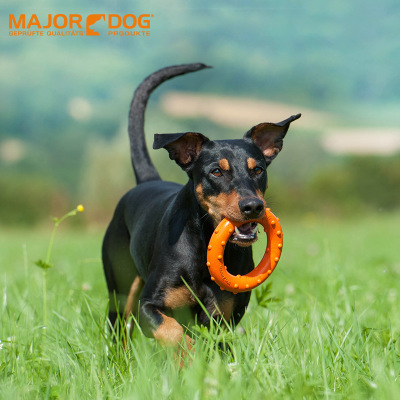 德国Major Dog 鲁迪环天然橡胶耐咬拔河投掷狗狗宠物玩具牙龈按摩|ruв категории животное/Животное питание и принадлежностей, кошка/собака игрушка, Другие игрушки - от Buy2taobao.com для оказания профессиональной услуги покупки агента Taobao