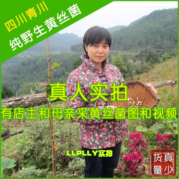 【純野生黃絲菌】青川雞油菌 杏黃菌 雞油蘑 天然曬幹 幹貨 500克在類目 糧油米麪/南北乾貨/調味品, 南北乾貨/肉類乾貨, 乾貨/土特產, 其它中 - 來自Buy2taobao.com提供專業的淘寶代購服務