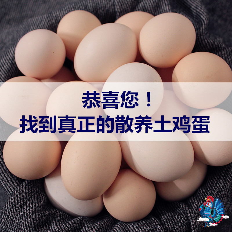 稚康™30枚山岭散养土鸡蛋柴鸡蛋真正散养柴鸡孕妇月子儿童辅食在类目 水产肉类/新鲜蔬果/熟食, 蛋/蛋制品, 鲜活蛋类, 鸡蛋中 - 来自Buy2taobao.com提供专业的淘宝代购服务