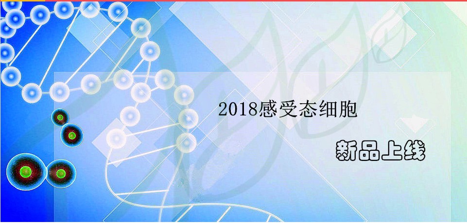 正品连翘酯苷A/Forsythoside A/79916-77-1/标准品/源叶|ruв категории офисное оборудование/расходные материалы/соответствующие услуги, других расходных материалов, другие - от Buy2taobao.com для оказания профессиональной услуги покупки агента Taobao
