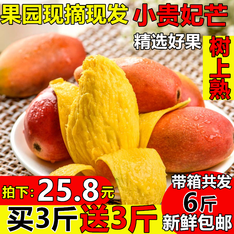 【买一送一】百色小贵妃芒果5斤包邮壮乡福地红金龙非海南小台农|msdalam kategori daging perikanan/Buah-buahan segar dan sayur-sayuran/dimasak, buah-buahan segar, Mango - dari Buy2taobao.com untuk memberikan perkhidmatan ejen Taobao profesional membeli