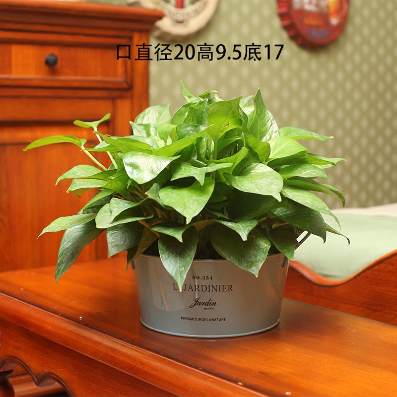 田园家居饰品花桶花盆 干花鲜花插花盆 绿植花器花店鲜花铁皮桶|ruв категории Домашний быт, ваза/цветок/искусственные цветы/моделирование украшения, цветок/ваза, цветы ведро - от Buy2taobao.com для оказания профессиональной услуги покупки агента Taobao