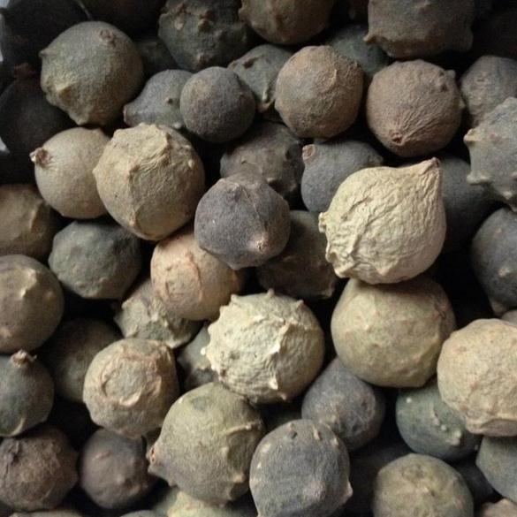 Gallnut Aleppo gall No food seed No stones No stone 500g gram 75 elementin the Traditional nourishing food , Other traditional tonic , Other traditional tonic category - from Buy2taobao.com to provide professional Taobao agent buy service