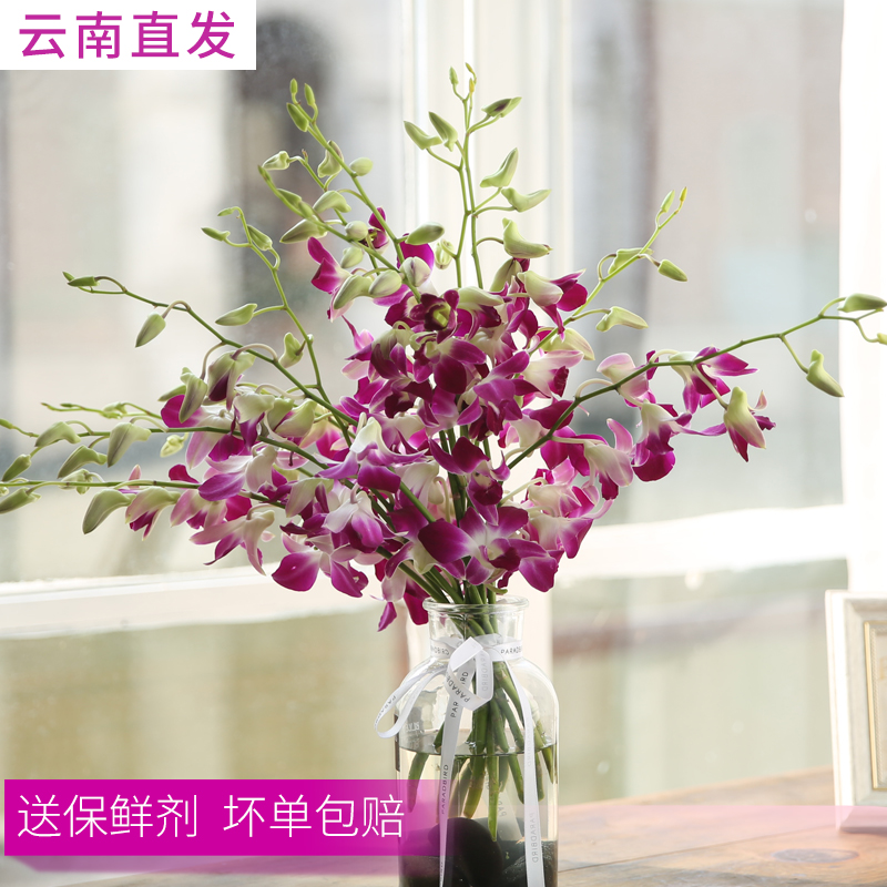 泰國進口洋蘭千代蘭鮮花基地直發家用辦公室真花水養插花萬代蘭在類目 鮮花速遞/花卉仿真/綠植園藝, 鮮花速遞(同城)中 - 來自Buy2taobao.com提供專業的淘寶代購服務