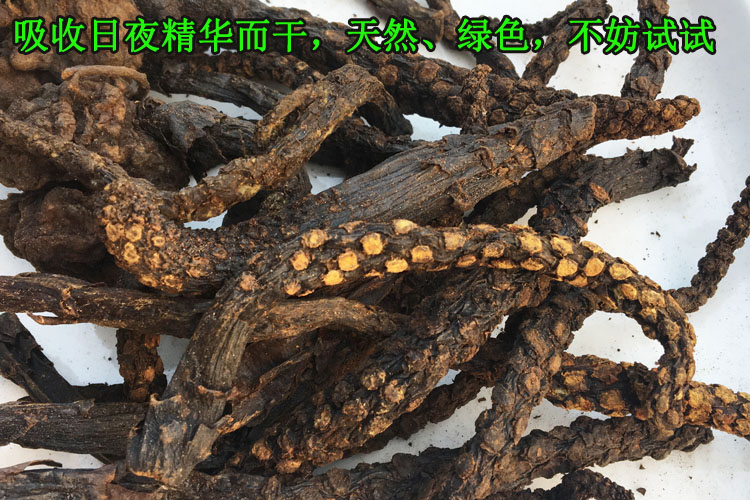 特价泡酒料野生不老草 公草苁蓉 草从容 回春草 半斤包邮|ruв категории традиционные питательный пища, другие традиционные тоник, Bulao Херб - от Buy2taobao.com для оказания профессиональной услуги покупки агента Taobao