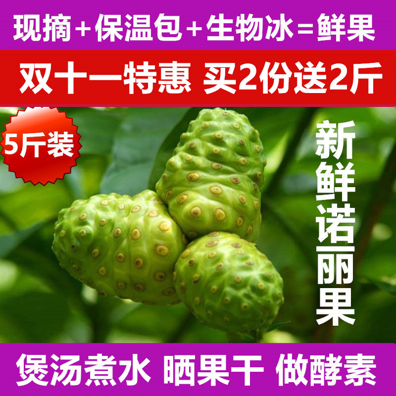 空运5斤装 纯农家果海南三亚新鲜诺丽果酵素原料现摘现发在类目 水产肉类/新鲜蔬果/熟食, 新鲜水果, 其它中 - 来自Buy2taobao.com提供专业的淘宝代购服务