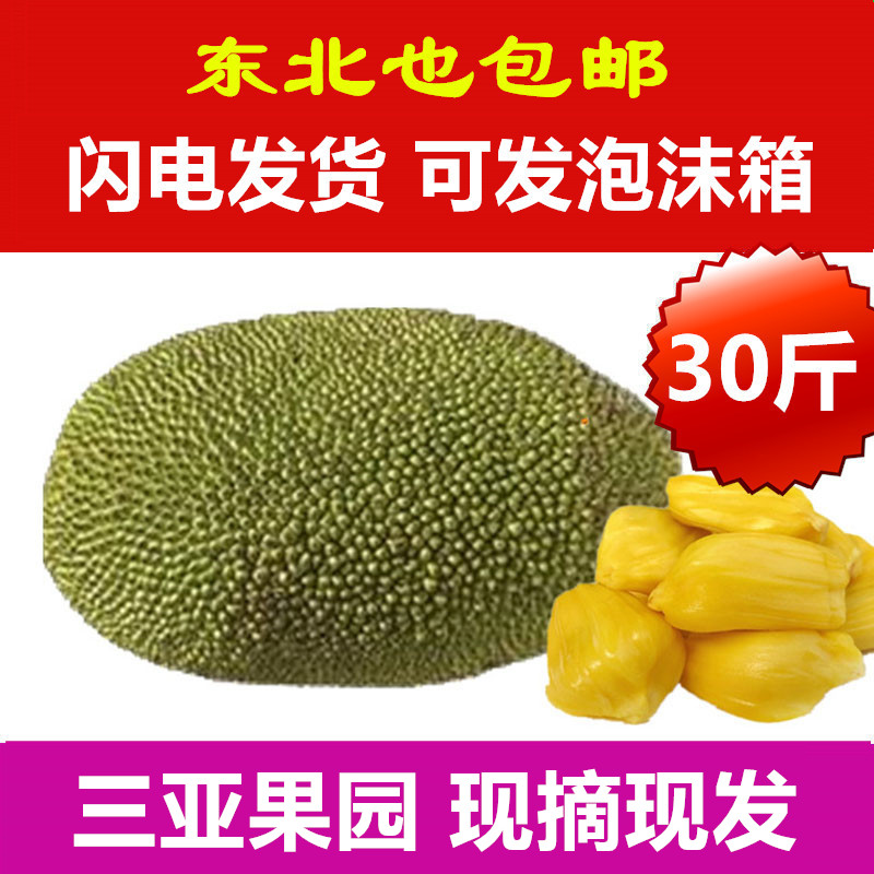 【一件代发 30斤】海南三亚菠萝蜜干苞热带新鲜水果现摘包邮在类目 水产肉类/新鲜蔬果/熟食, 新鲜水果, 其它中 - 来自Buy2taobao.com提供专业的淘宝代购服务