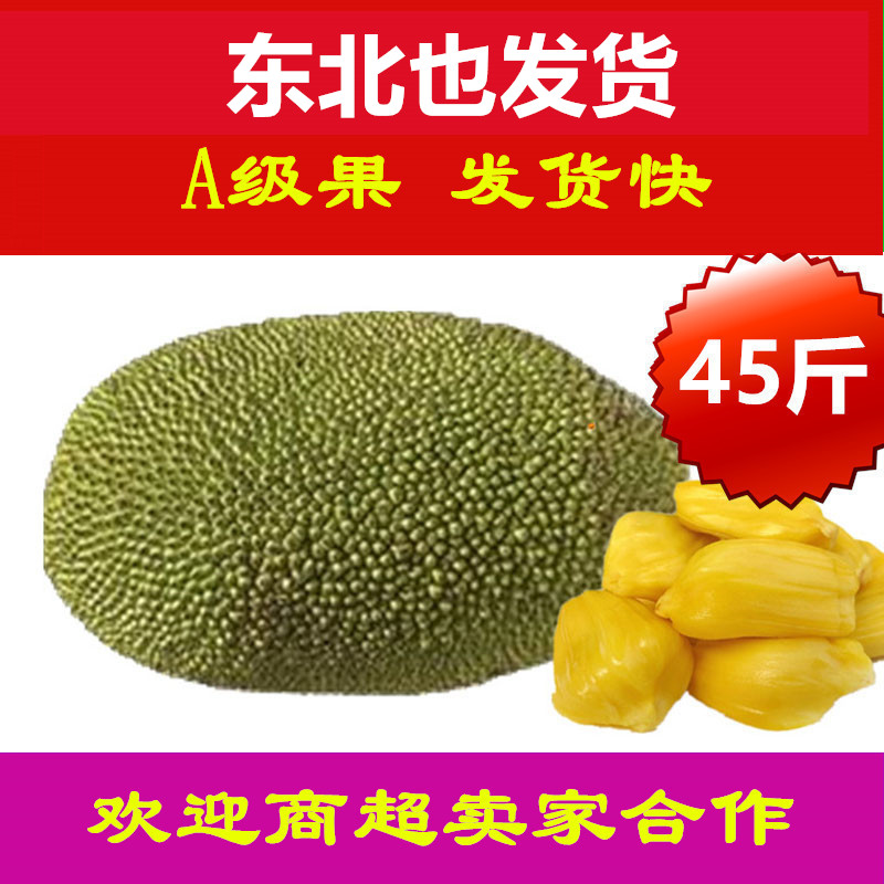 45斤特大果海南三亚菠萝蜜老树果孕妇新鲜水果现摘现发干苞包邮|msdalam kategori daging perikanan/Buah-buahan segar dan sayur-sayuran/dimasak, buah-buahan segar, lain - dari Buy2taobao.com untuk memberikan perkhidmatan ejen Taobao profesional membeli