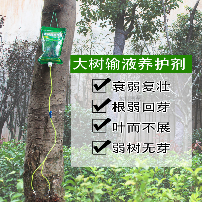包邮坪安大树营养快线植物复壮 生根液树木输液袋 大树吊针营养液在类目 鲜花速递/花卉仿真/绿植园艺, 园艺用品, 家庭园艺肥料/营养土/营养液中 - 来自Buy2taobao.com提供专业的淘宝代购服务