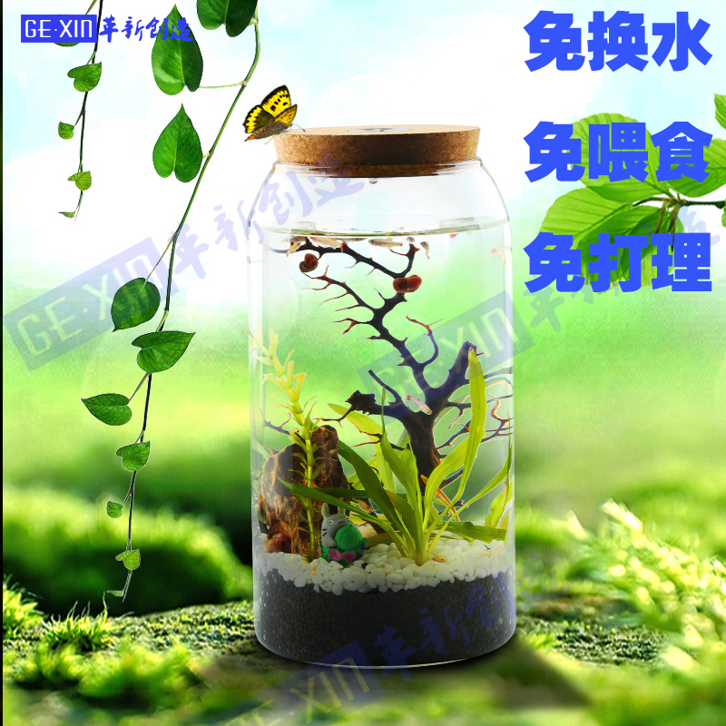 原生態創意微景觀設計免換水免打理生態球系統自然景觀科學題目在類目 寵物/寵物食品及用品, 水族世界, 魚缸等水族設備, 生態瓶/創意缸/桌面微景缸中 - 來自Buy2taobao.com提供專業的淘寶代購服務
