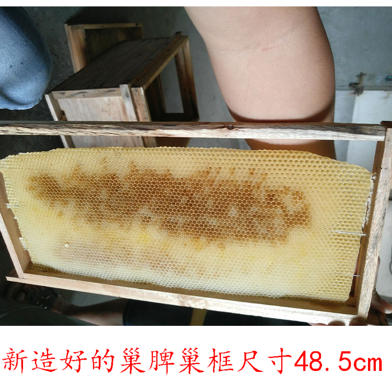 天然老蜂巢 老巢脾 老蜜蜂窝 中蜂老脾 中蜂蜂巢 旧脾 笼蜂必备|ruв категории традиционные питательный пища, продуктов пчеловодства, пчеловодство - от Buy2taobao.com для оказания профессиональной услуги покупки агента Taobao