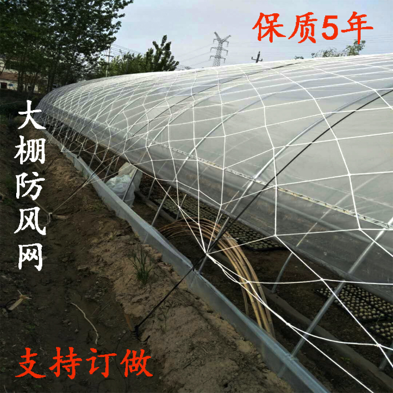 货物种植养殖大棚防风网绳网防护网尼龙网大孔绳网挡风网大棚网|ruв категории оборудование/инструменты, строительство защиты, входят защита, сеть безопасности - от Buy2taobao.com для оказания профессиональной услуги покупки агента Taobao