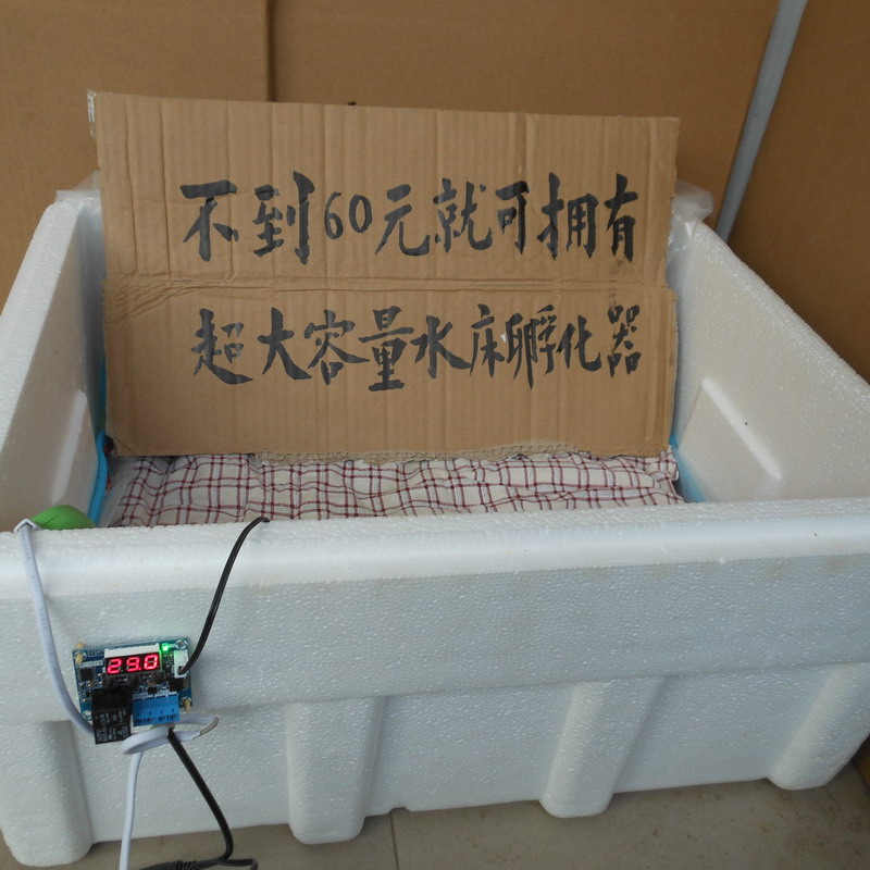 自制自动控温小型家用型水床孵化器小鸡鹌鹑鸽子蛋孵化机孵蛋器箱|msdalam kategori perkakasan/alat, instrumen, Peralatan elektrik - dari Buy2taobao.com untuk memberikan perkhidmatan ejen Taobao profesional membeli