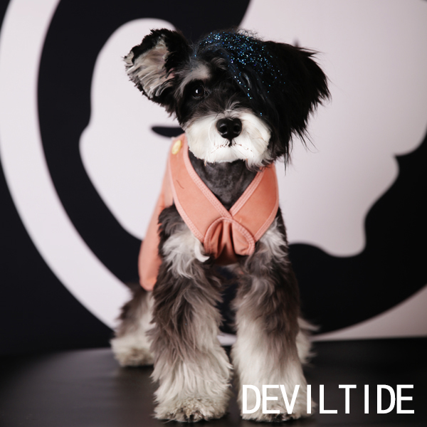 DEVILTIDE Devil Pets Overalls rompers Dogs clothes Chaopai Four feetin the Pet/Pet food and supplies , Pet apparel and accessories , Pet clothing/Raincoat category - from Buy2taobao.com to provide professional Taobao agent buy service