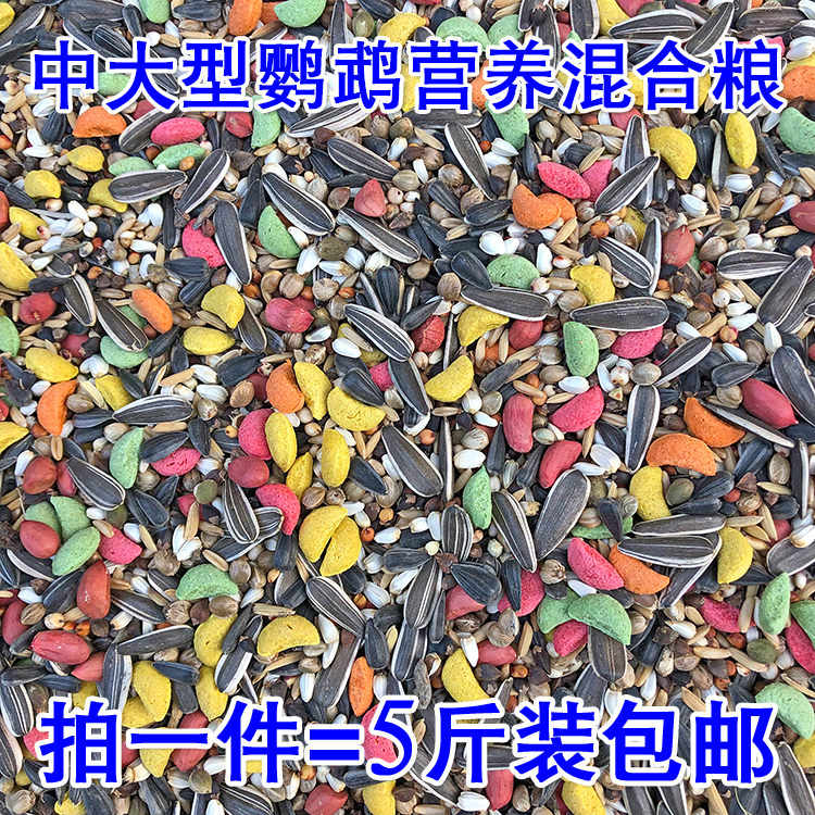 中大型小太阳金太阳和尚亚历绯胸灰鹦鹉折衷葵花饲料鸟粮5斤包邮|msdalam kategori haiwan peliharaan/makanan haiwan dan bekalan, Burung dan bekalan, makanan burung - dari Buy2taobao.com untuk memberikan perkhidmatan ejen Taobao profesional membeli