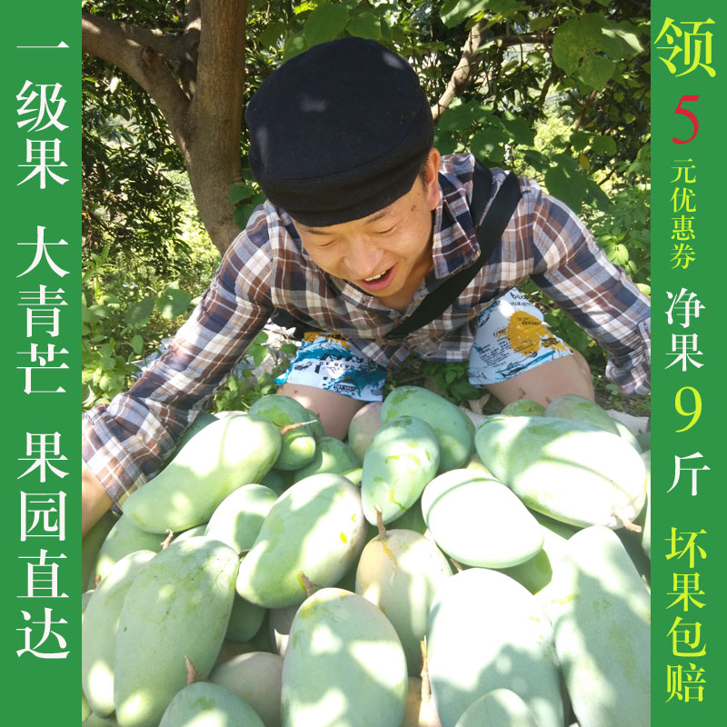 云南金煌芒大青芒果新鲜现摘在类目 水产肉类/新鲜蔬果/熟食, 新鲜水果, 芒果中 - 来自Buy2taobao.com提供专业的淘宝代购服务
