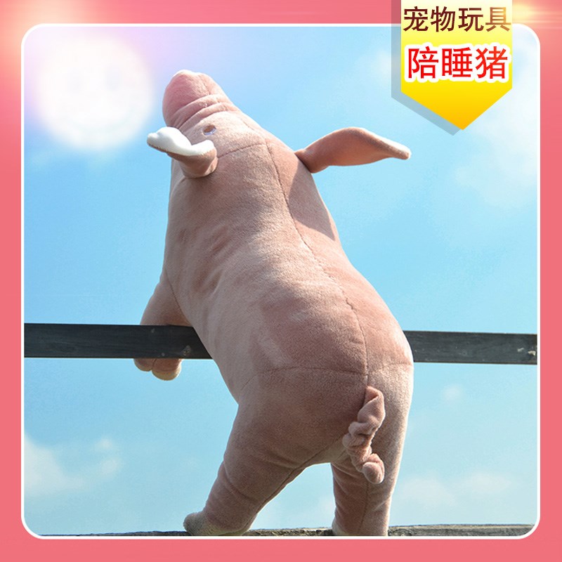 用品伴侣耐咬猪发泄法斗陪睡玩具泰迪狗狗发情宠物期小公狗猫磨牙|msdalam kategori haiwan peliharaan/makanan haiwan dan bekalan, Cat/Mainan anjing, mainan bunyi - dari Buy2taobao.com untuk memberikan perkhidmatan ejen Taobao profesional membeli