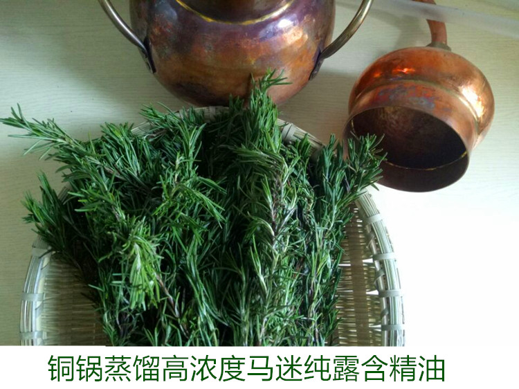 无现货马鞭草酮迷迭香纯露500ml疏通毛孔排闭口限区包邮在类目 美容护肤/美体/精油, 精油芳疗, 纯露/花水中 - 来自Buy2taobao.com提供专业的淘宝代购服务