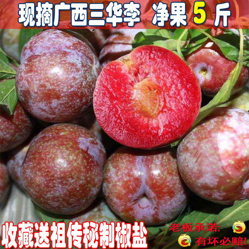 广西现摘正宗银妃三华李非钱排新鲜应季红心李脆酸甜李子孕妇水果在类目 水产肉类/新鲜蔬果/熟食, 新鲜水果, 李子中 - 来自Buy2taobao.com提供专业的淘宝代购服务