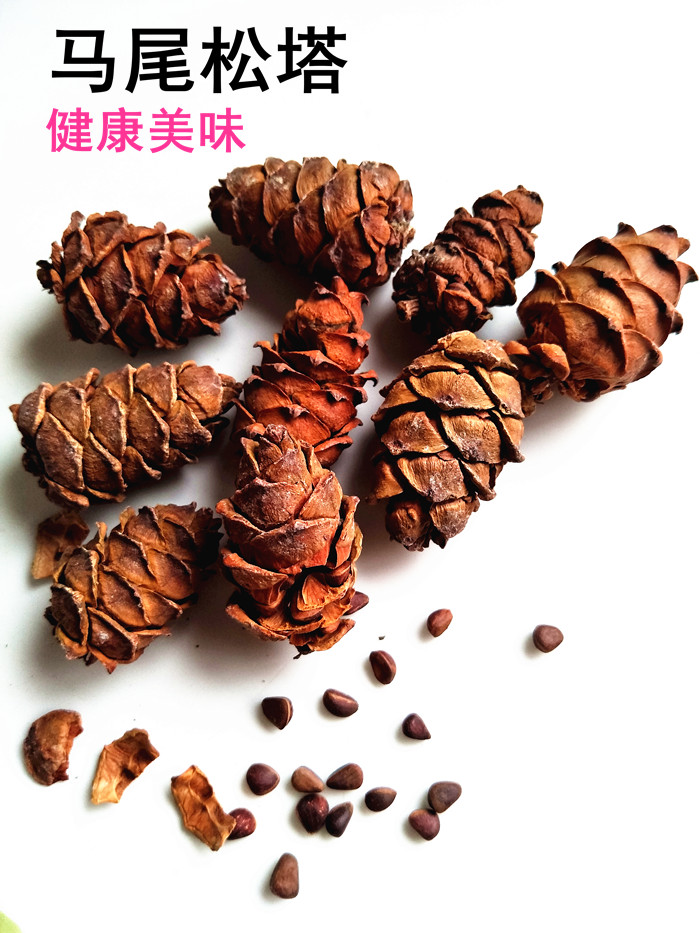 Daxinganling Original flavor Ponytail Pine Songta Pine nuts nutin the Pet/Pet food and supplies , Class pet hamsters and other small , Feed/Snacks category - from Buy2taobao.com to provide professional Taobao agent buy service