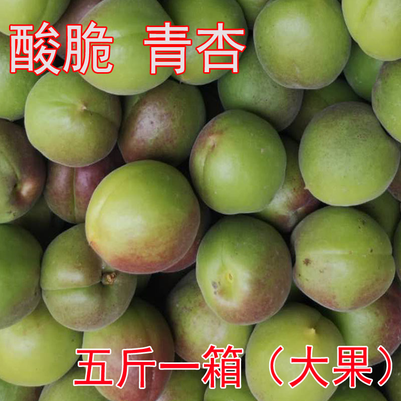 【五斤】青杏酸杏脆杏酸脆现摘新鲜水果杏子酸脆红杏梅杏在类目 水产肉类/新鲜蔬果/熟食, 新鲜水果, 其它中 - 来自Buy2taobao.com提供专业的淘宝代购服务