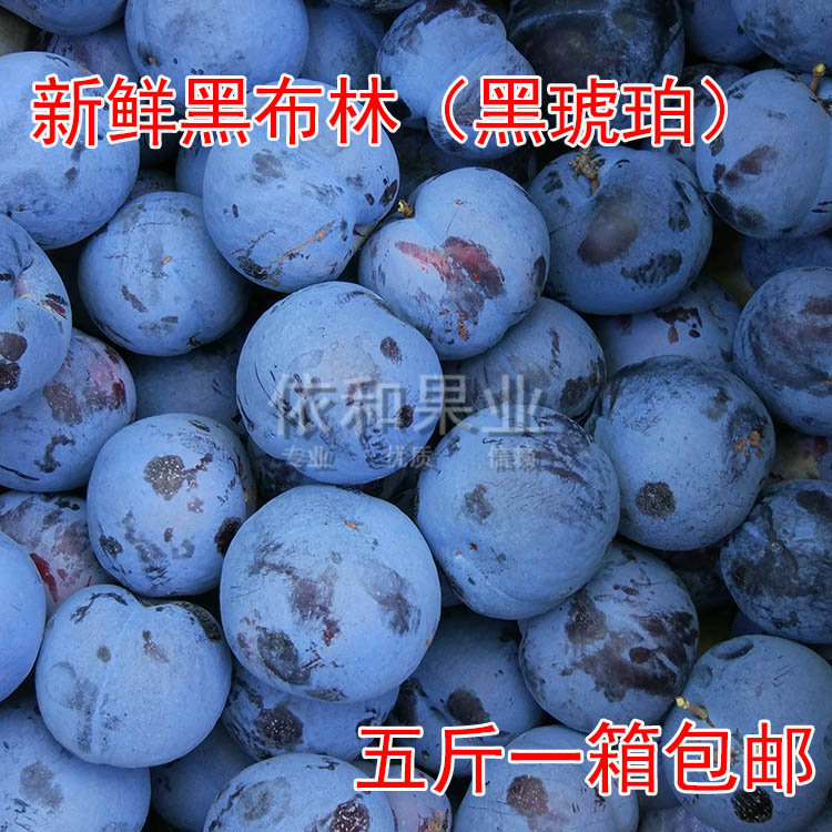 【7月中旬发】陕西黑琥珀李子黑布林新鲜水果黑宝石五斤包邮大果|ruв категории водной мясо/свежие фрукты и овощи/еда, свежие фрукты, слива - от Buy2taobao.com для оказания профессиональной услуги покупки агента Taobao