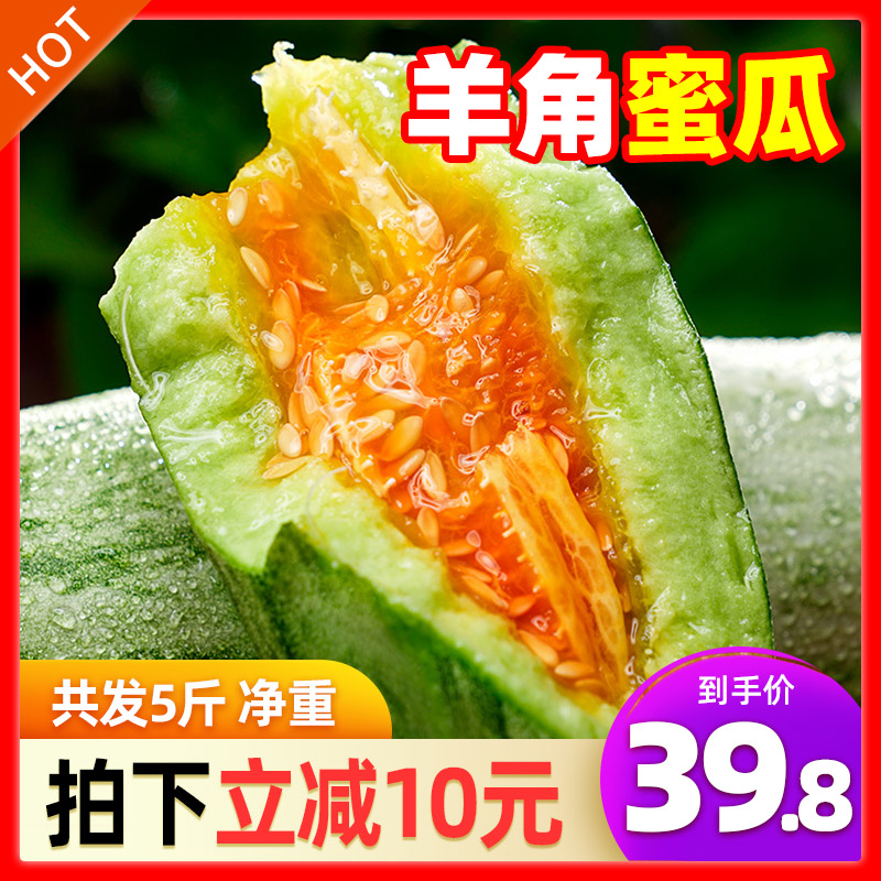 羊角蜜甜瓜蜜瓜5斤 新鲜水果包邮当季应季山东羊角密瓜脆香瓜|msdalam kategori daging perikanan/Buah-buahan segar dan sayur-sayuran/dimasak, buah-buahan segar, lain - dari Buy2taobao.com untuk memberikan perkhidmatan ejen Taobao profesional membeli
