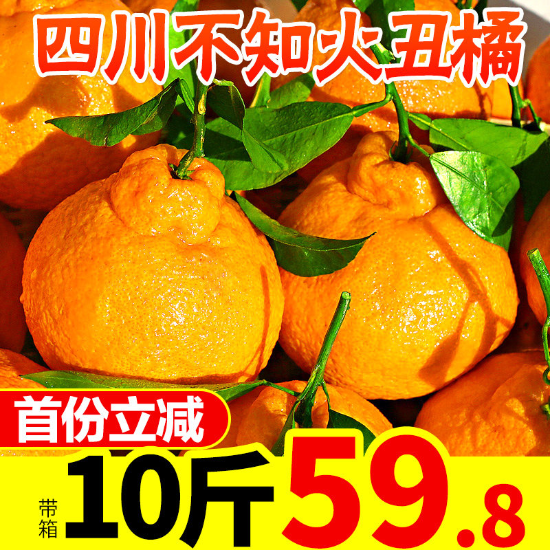 四川不知火丑橘带箱10斤水果新鲜包邮当季丑八怪耙耙桔橘子丑柑橘