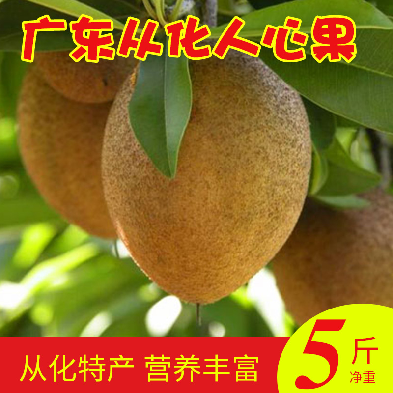 广东广州从化特产新鲜人心果人参10小果长生果人仙果人叁水果5斤|ruв категории водной мясо/свежие фрукты и овощи/еда, свежие фрукты, другие - от Buy2taobao.com для оказания профессиональной услуги покупки агента Taobao