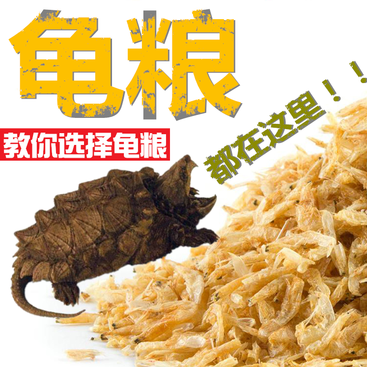 Tortoise Pets living thing Red-eared Tortoise Null Small snapper Dried fish Dried shrimp Turtle Food Turtles feed Foodin the Pet/Pet food and supplies , Aqua World , Turtle Watch/Turtle feed category - from Buy2taobao.com to provide professional Taobao agent buy service
