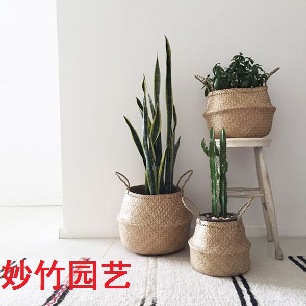 北欧折叠草编花盆篮藤编筐琴叶榕收纳筐手提租房收纳神器ins包邮在类目 家居饰品, 花瓶/花器/仿真花/仿真饰品, 花器/花瓶, 花篮中 - 来自Buy2taobao.com提供专业的淘宝代购服务