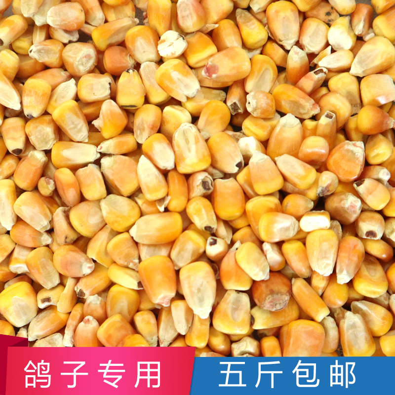 玉米粒饲料新苞米粒杂粮鸡鸭鸽子宠物鼠类钓鱼打窝5斤装全国包邮|ruв категории животное/Животное питание и принадлежностей, птиц и принадлежностей, птица - от Buy2taobao.com для оказания профессиональной услуги покупки агента Taobao