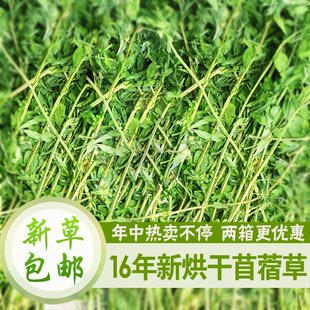 16年新烘干苜蓿草紫花苜蓿草龙猫牧草兔粮饲料毛重1000克兔干草