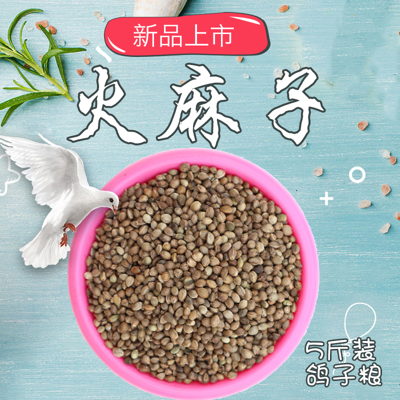 麻子麻籽火麻仁中顆粒鹦鹉鳥食鳥糧飼料倉鼠糧鴿子糧 2500克包郵在類目 寵物/寵物食品及用品, 鳥類及用品, 鳥食中 - 來自Buy2taobao.com提供專業的淘寶代購服務