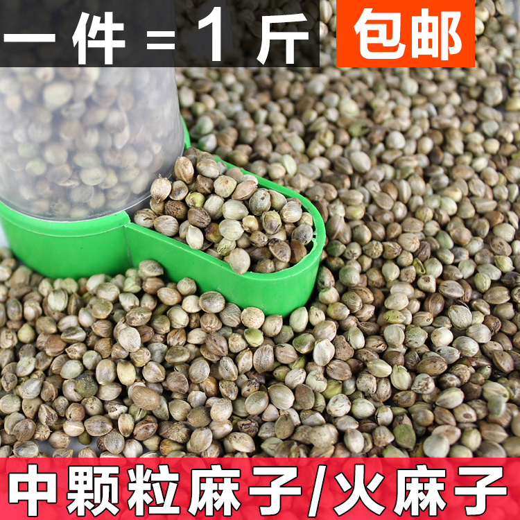 麻子 麻籽 中等颗粒火麻仁 鸽子粮鸟食鸟粮 鹦鹉饲料满5斤包邮在类目 宠物/宠物食品及用品, 鸟类及用品, 鸟食中 - 来自Buy2taobao.com提供专业的淘宝代购服务