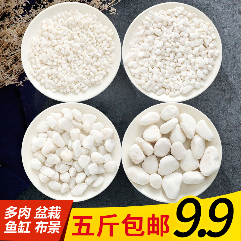 undefined5 white Pebble stone landscape Scenery gardening fish tank Paved Whitehead sonundefinedin the Flower delivery/Flowers simulation/Plants gardening , Gardening supplies , Other Garden Supplies category - from Buy2taobao.com to provide professional Taobao agent buy service