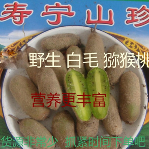 寿宁特产 野生白毛猕猴桃奇异果500克断货地方特色 散装食品|msdalam kategori daging perikanan/Buah-buahan segar dan sayur-sayuran/dimasak, buah-buahan segar, Kiwi/Kiwi - dari Buy2taobao.com untuk memberikan perkhidmatan ejen Taobao profesional membeli