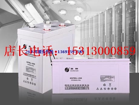 胶体蓄电池2V300AH圣阳GFMJ-300太阳能UPS通讯基站EPS直流屏安防在类目 3C数码配件, 干电池/充电电池/套装, 普通干电池中 - 来自Buy2taobao.com提供专业的淘宝代购服务