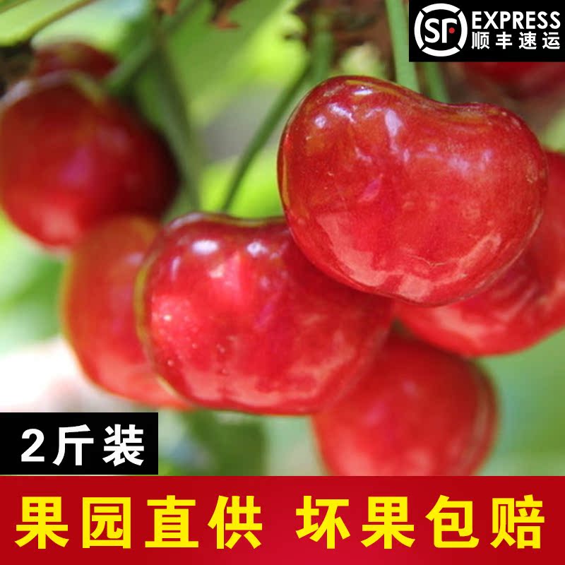 山東3j美早新鮮車厘子孕婦水果大果買2斤順豐空運在類目 水產肉類/新鮮蔬果/熟食, 新鮮水果, 車釐子/櫻桃中 - 來自Buy2taobao.com提供專業的淘寶代購服務