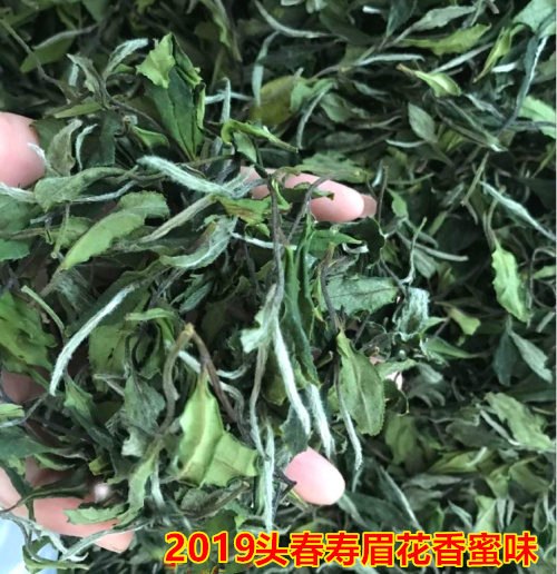 2019 Spring White tea White Peony Fuding white tea 400g Alpine Sweet bulkin the Tea , White Tea(New) , White Peony category - from Buy2taobao.com to provide professional Taobao agent buy service