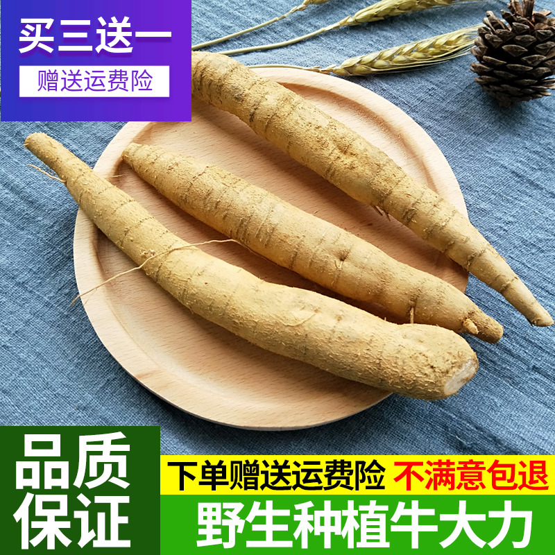 牛大力包邮野生新鲜500g广东正宗金钟根传统药膳牛古大力小薯煲汤在类目 传统滋补营养品, 药食同源食品, 其他药食同源食品中 - 来自Buy2taobao.com提供专业的淘宝代购服务