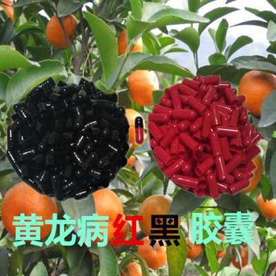 黄龙病胶囊黄化黄叶病砂糖桔柑橘贡桔橙子柚子树杀菌助效剂滴注在类目 鲜花速递/花卉仿真/绿植园艺, 园艺用品, 家庭园艺肥料/营养土/营养液中 - 来自Buy2taobao.com提供专业的淘宝代购服务