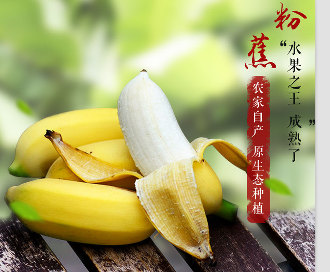 高州粉蕉 新鮮香蕉水果 小米蕉 小芭蕉 banana 非海南皇帝蕉 5斤在類目 水產肉類/新鮮蔬果/熟食, 新鮮水果, 香蕉中 - 來自Buy2taobao.com提供專業的淘寶代購服務