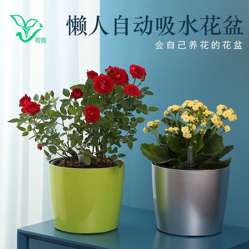 懶人自動吸水花盆多肉水仙綠蘿吊蘭樹脂塑料家用加厚圓形花盆清倉在類目 鮮花速遞/花卉仿真/綠植園藝, 花瓶/花器/花盆/花架(新), 花盆中 - 來自Buy2taobao.com提供專業的淘寶代購服務